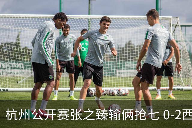 杭州公开赛张之臻输俩抢七 0-2西里奇收获亚军
