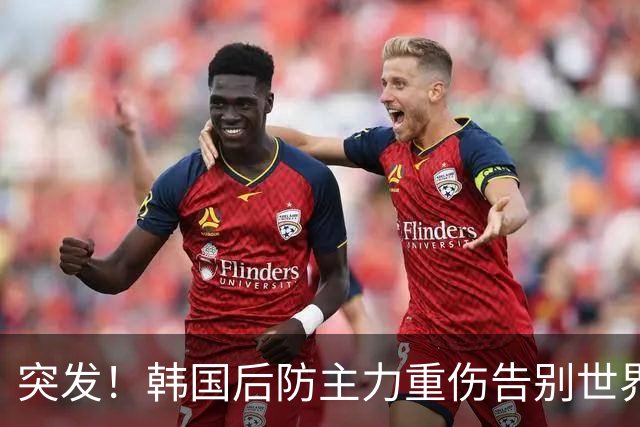 突发！韩国后防主力重伤告别世界杯，24岁全北中卫紧急补位顶替