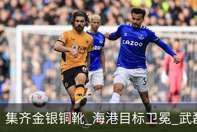 集齐金银铜靴 海港目标卫冕 武磊的伤是个麻烦